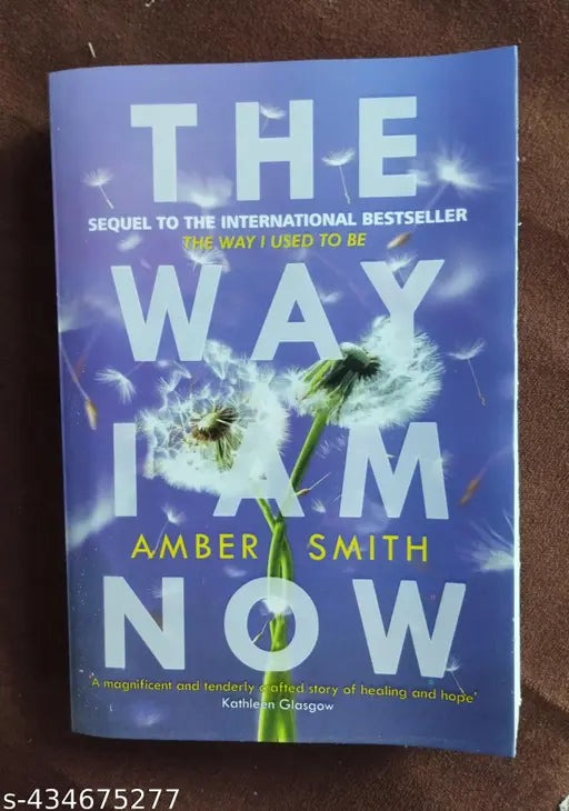 The Way I Am Now (English Paperback Amber Smith)