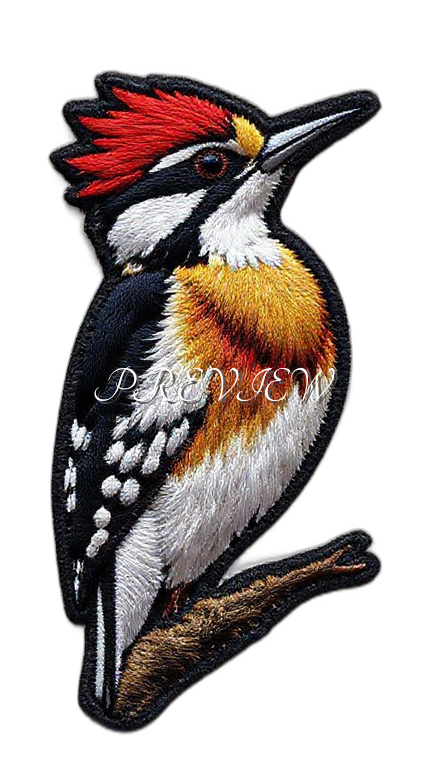 Woodpecker Style#1 Digital Image | 300 DPI Printable Art | Print on Demand Images