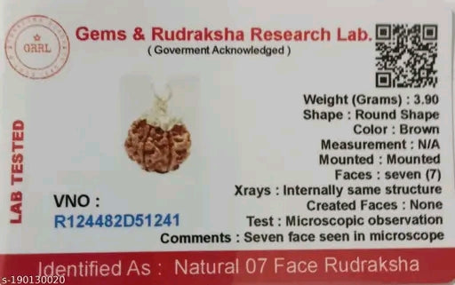 Certified 7 Mukhi Rudraksha for Good Luck, Riches and Material Blessings