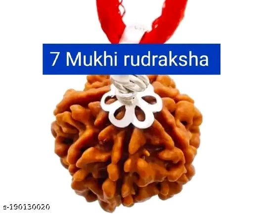 Certified 7 Mukhi Rudraksha for Good Luck, Riches and Material Blessings