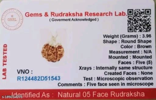 Certified 5 Mukhi Rudraksha for Good Health and Healing Powers