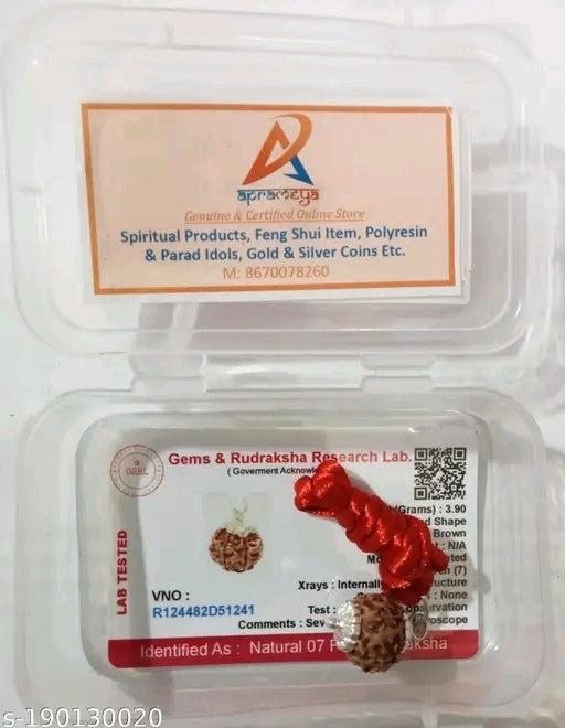 Certified 7 Mukhi Rudraksha for Good Luck, Riches and Material Blessings