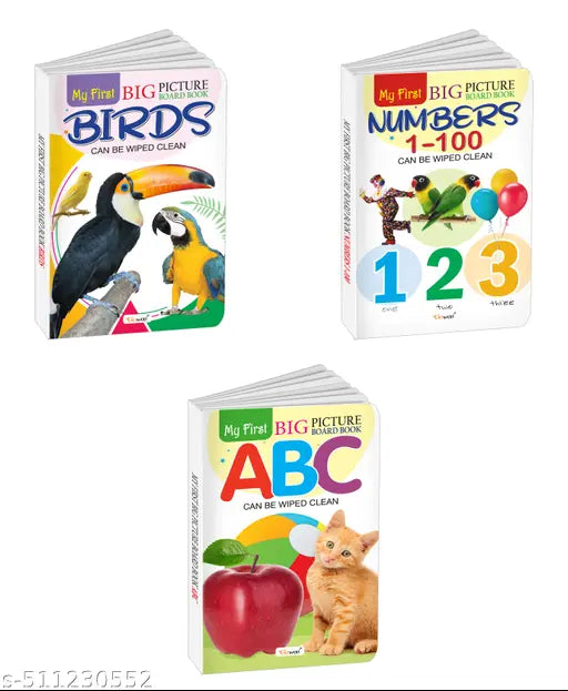 My First Big Picture Board Book ABC  Numbers 1-100 and Birds : Educational books for toddlers  Kids learning picture books  Board books for early learners - Set of 3 board books