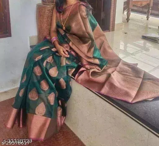 ORGANZA SILK SAREE