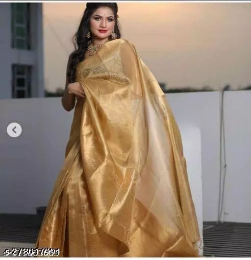 Banarasi Tissue Silk