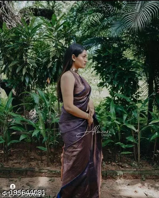 Aishani Fabulous Sarees